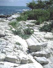 image002