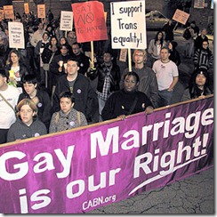 GayMarriageVote_thumb.jpg