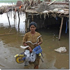 wpakistanfloodcp9142835_thumb.jpg