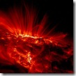 trace-sun-small_thumb.jpg
